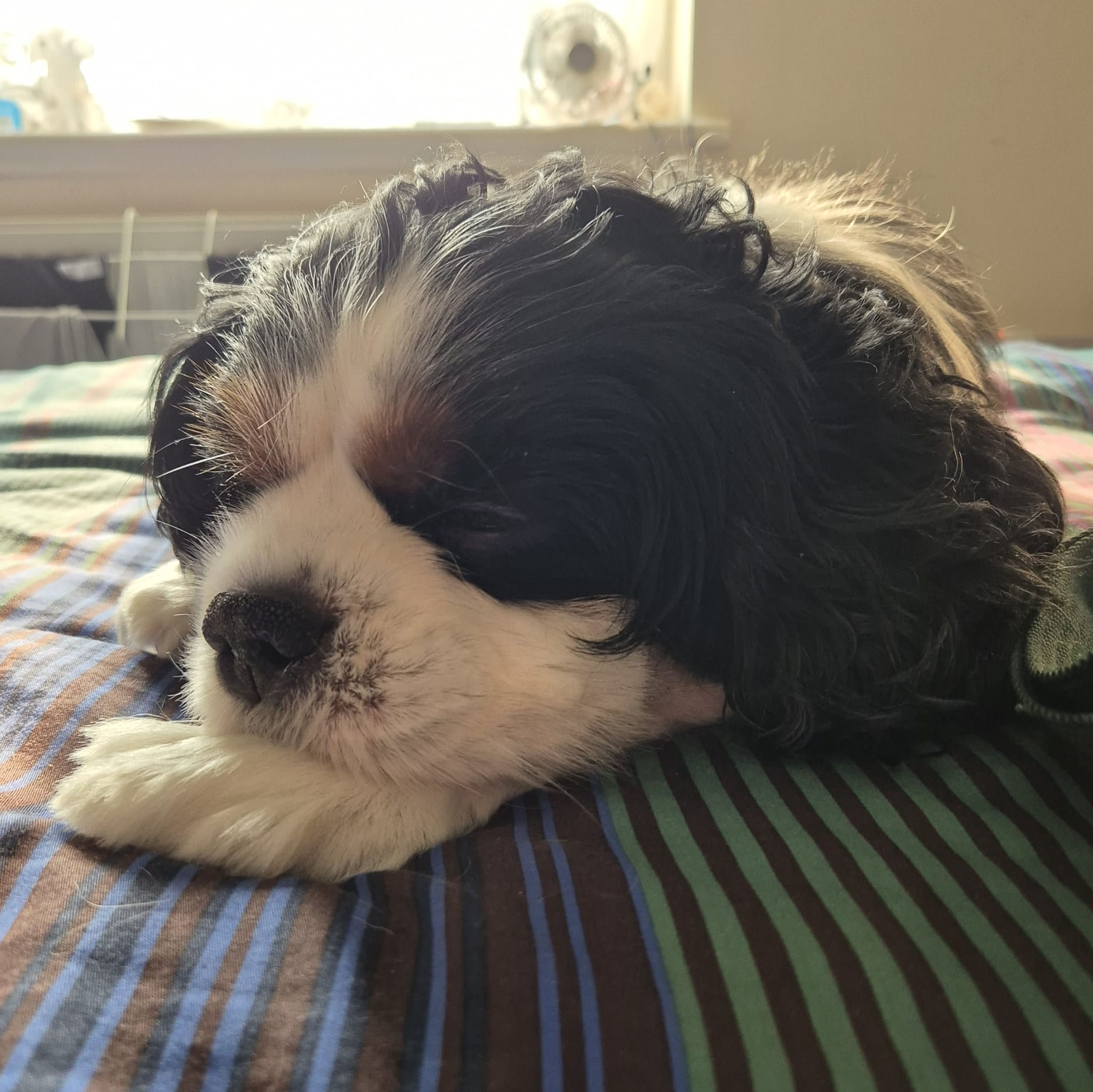 2024_2025 - Murphy - 11.jpg